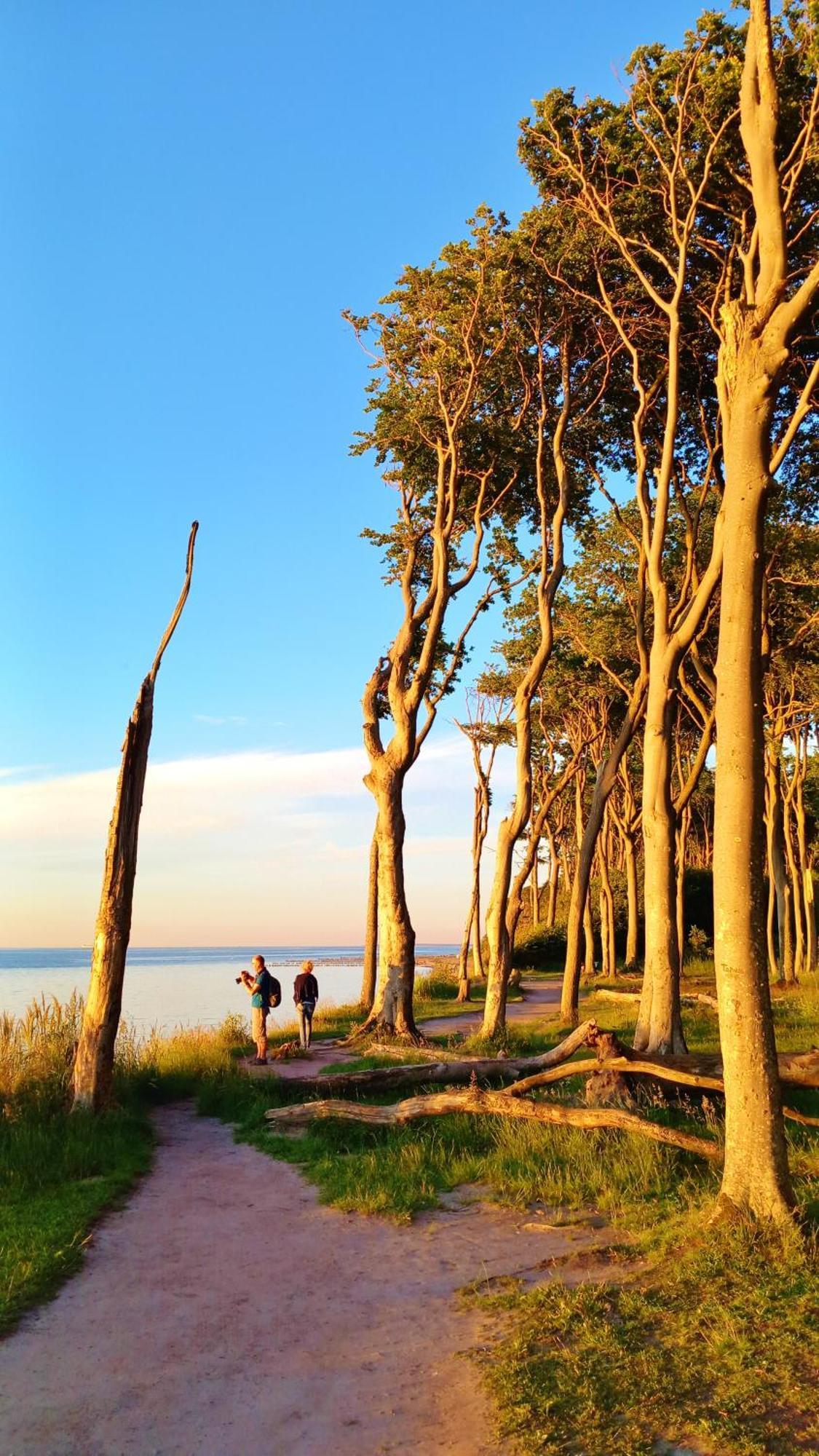 Ostsee Hotel-Pension An Der Lindenallee Bad Doberan Luaran gambar