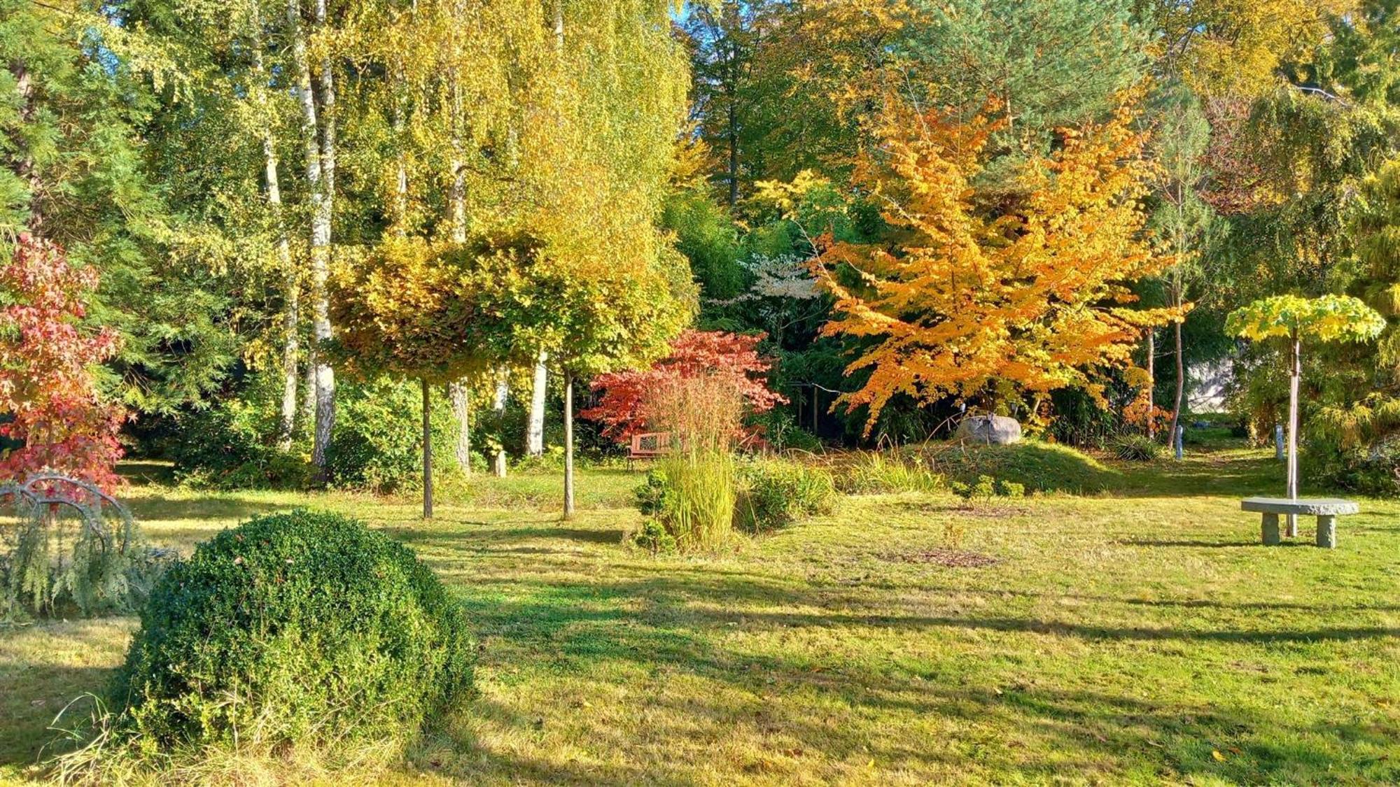 Ostsee Hotel-Pension An Der Lindenallee Bad Doberan Luaran gambar